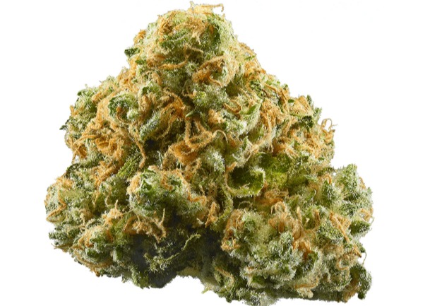 Young G.O.A.T | 3.5g | Pablo's Pineapple