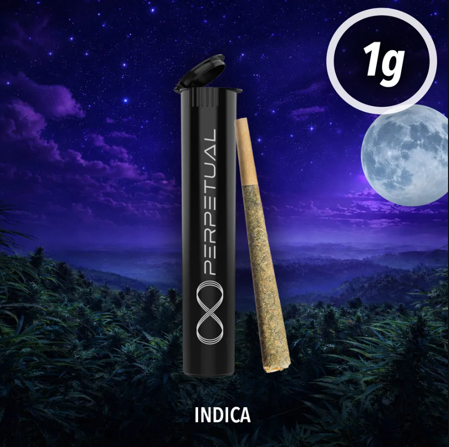 Perpetual - Smorez #5 - Pre-Roll - 1g