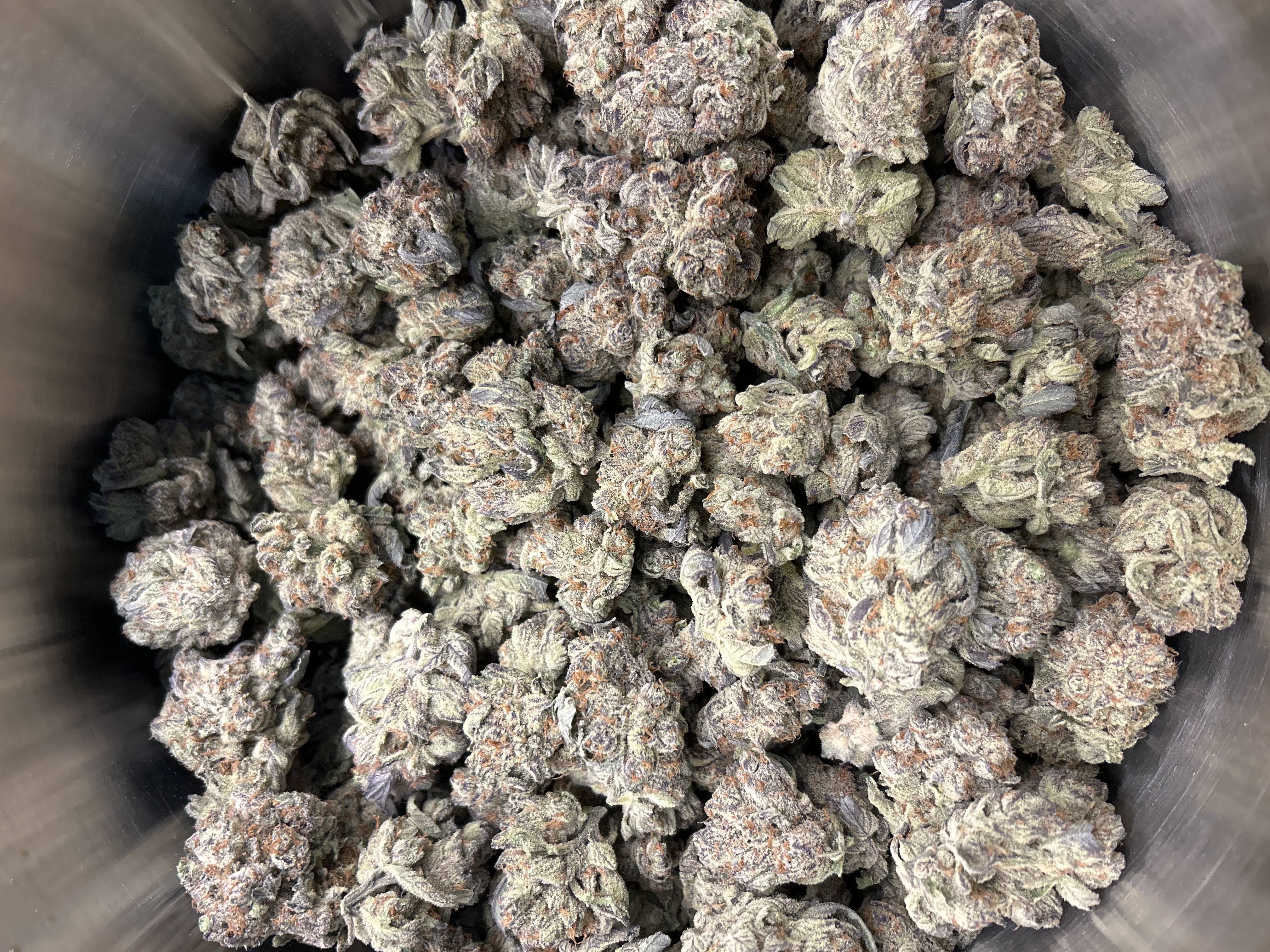 Berkshire Roots | Mandarin Cookies | Buds | 1.6% Terps (2g) product photo