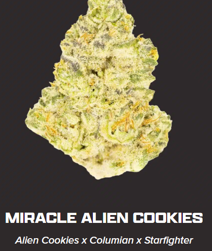 Zips | Miracle Alien Cookies