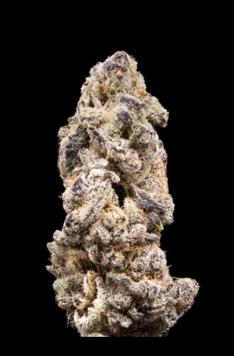 Kacklesnatch Pck Pre Rolls