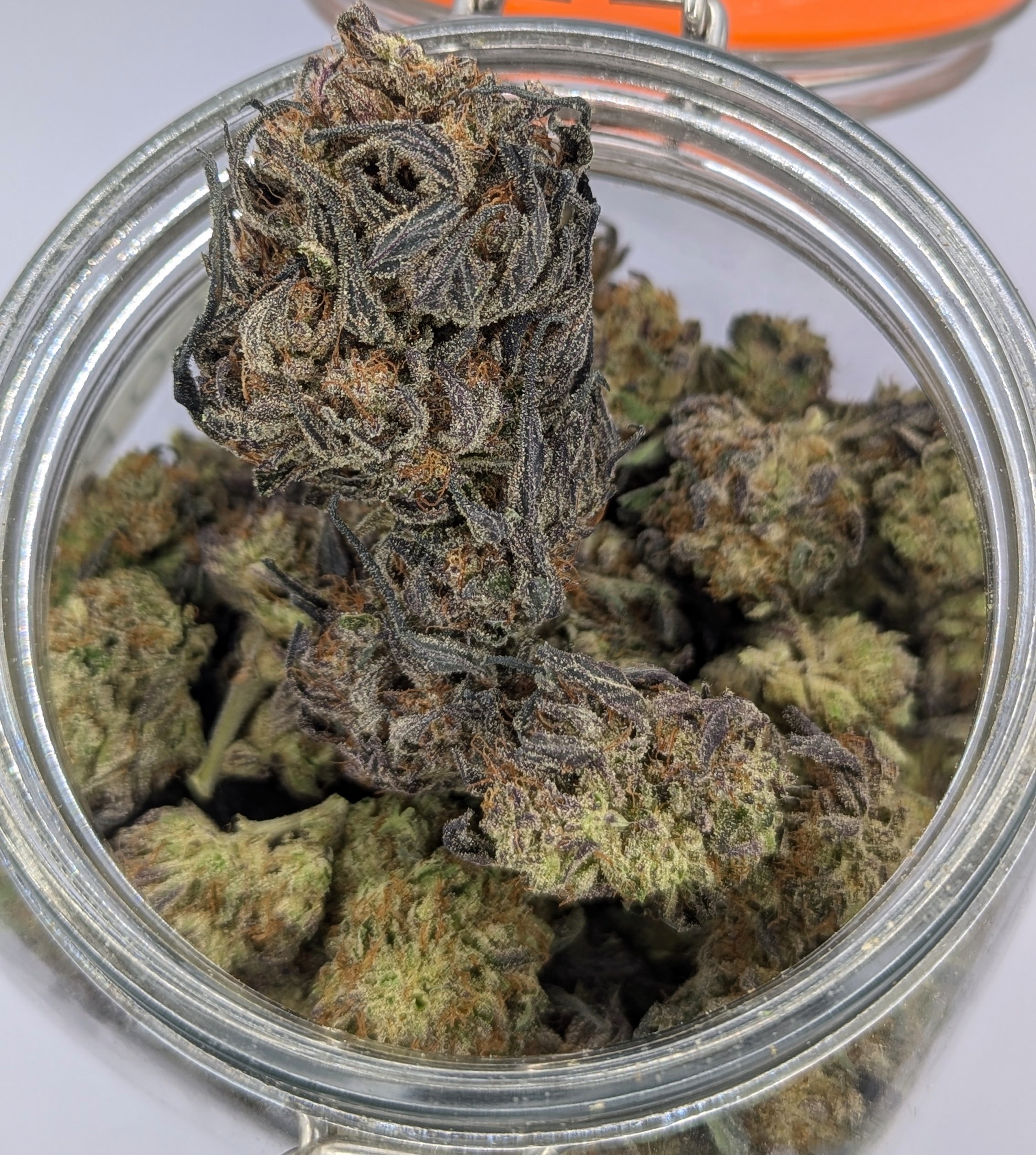 Pajama Sun Grown Deli Flower