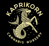 INFUSED PRE-ROLL 2-PACK | GASTRO POP / BLUEBERRY MUFFIN