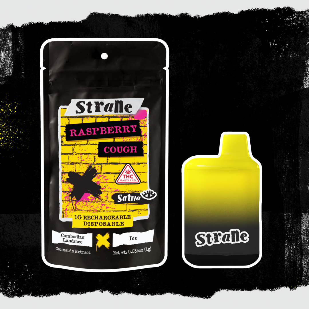 Raspberry Cough RIP STICK Rechargeable Disposable 1g