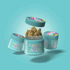 Co Flower Lolly