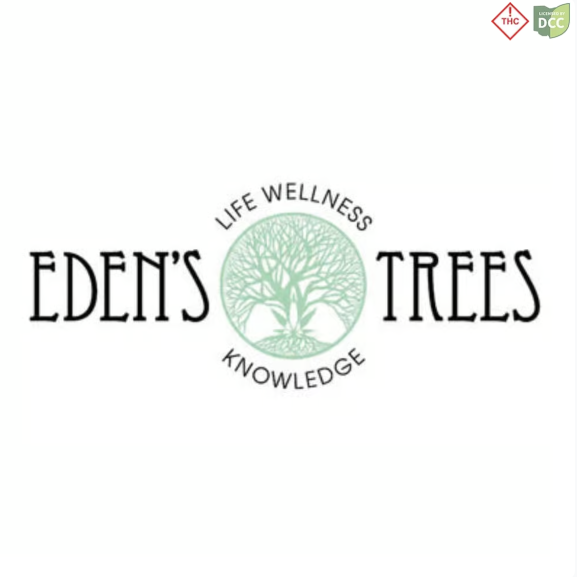 Mango Gummies 10pk 110MG