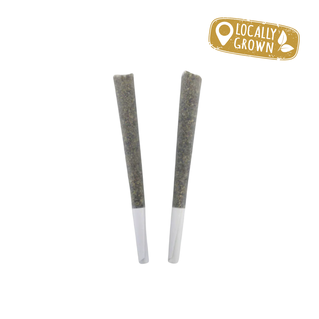 Brazilian Haze