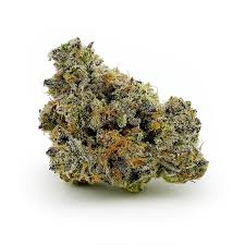 Six Labs | Truffle Cake | House Pre-Pack | 28g