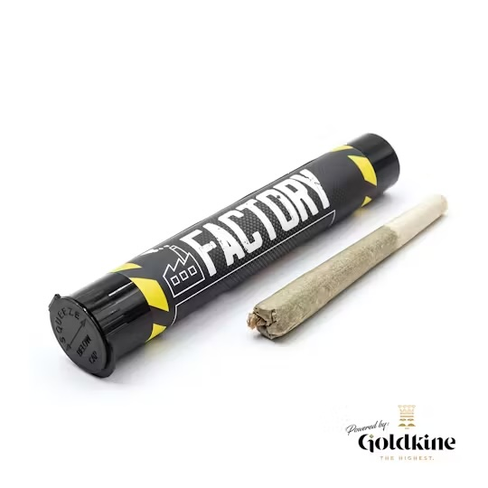 The Factory | Tropicana Cookies | 1g Pre-Roll