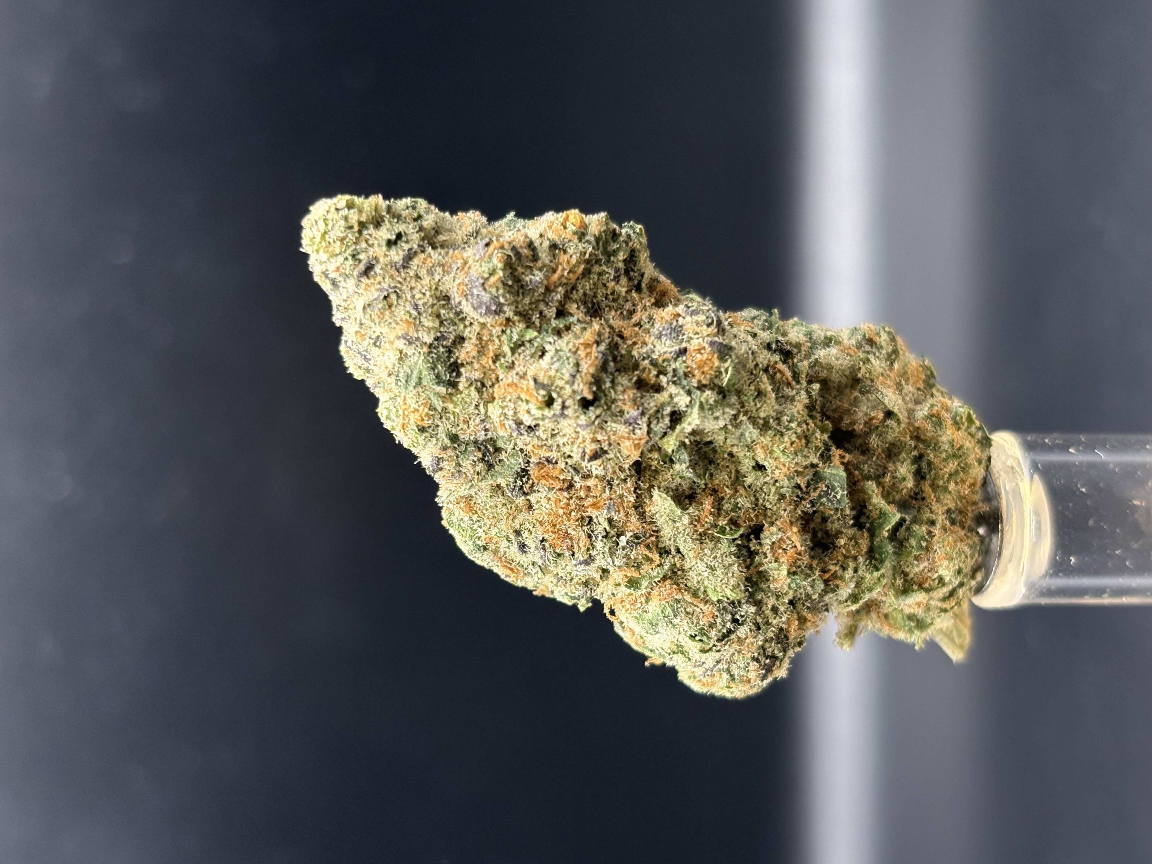 Gold Deli Mod Grapes