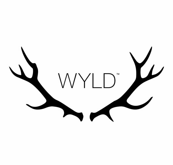 Wyld One | Sour Blueberry CBN Indica Enhanced Gummy | 100mg