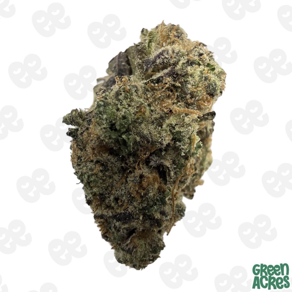 (A) Zasso: Apple Fritter (H)