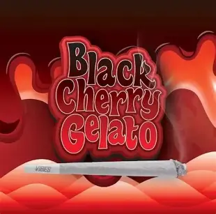 Joint | Black Cherry Gelato