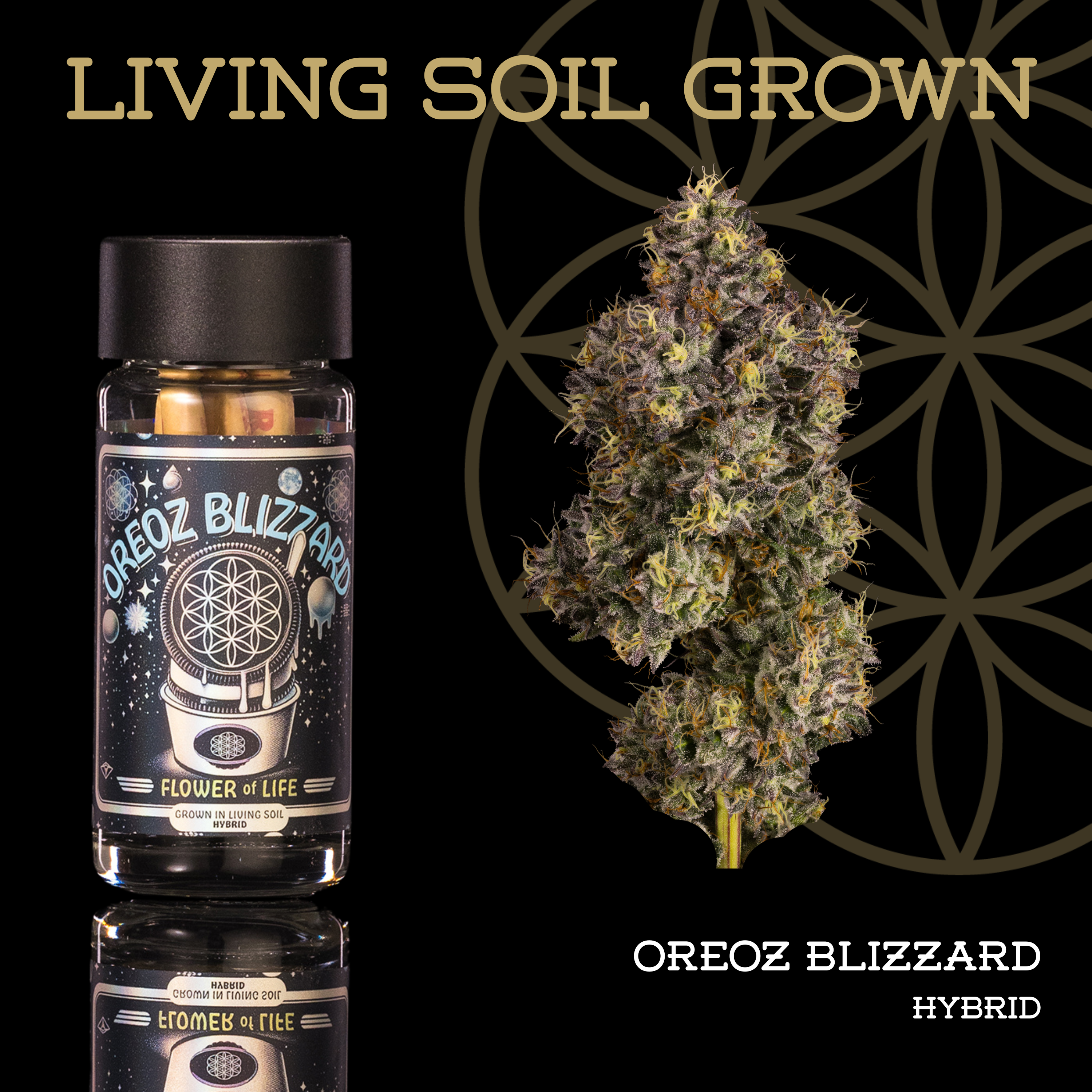 Flower of Life | Living Soil | Oreoz Blizzard | Pre-Roll 5-Pack | 2.5g