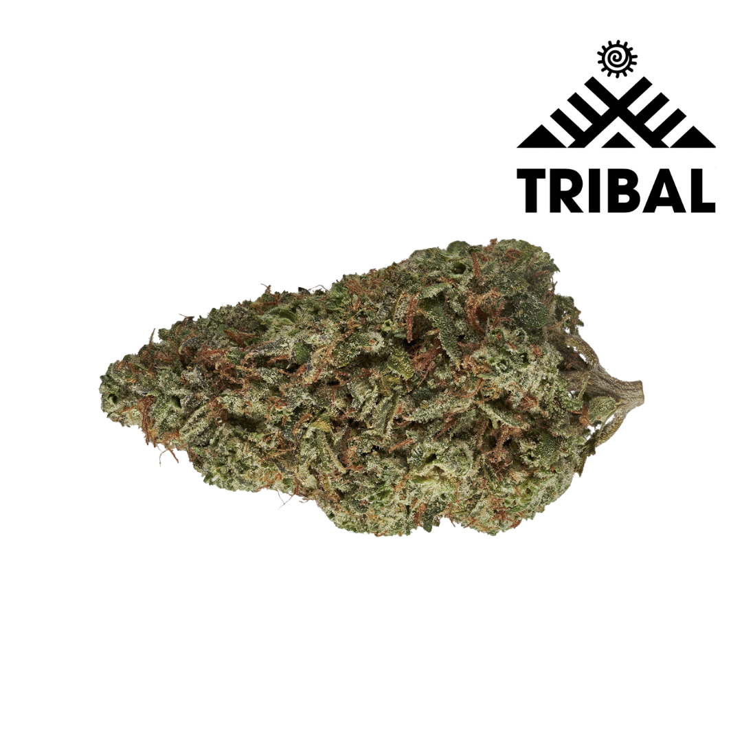 Tribal Cuban Linx - 3.5g