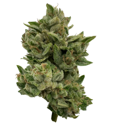 Pretty Sweet Sativa | 28G