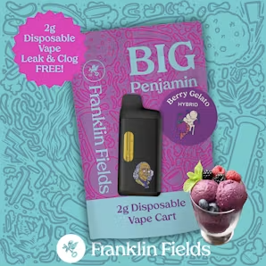 FRANKLIN FIELDS PENJAMIN | 2G DISPOSABLE |  BERRY GELATO