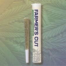 Powder Peach | 1g Pre-Roll