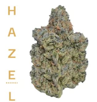 Hazel | Fire OG product photo