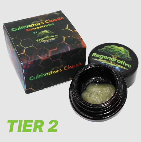 Sour Citrus Diesel Live Sugar