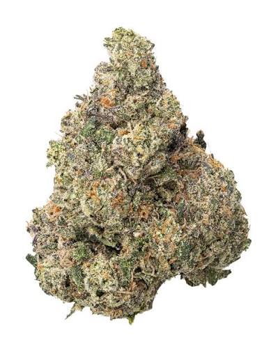 PMT Cultivation - Alpha Runtz - Bulk