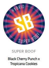 Super Boof Batter Hybrid