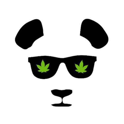 Phat Panda - Panda Balm CBD 1:1 Roll-On 2500mg