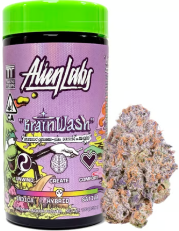 Brain Wash [H] - Flower