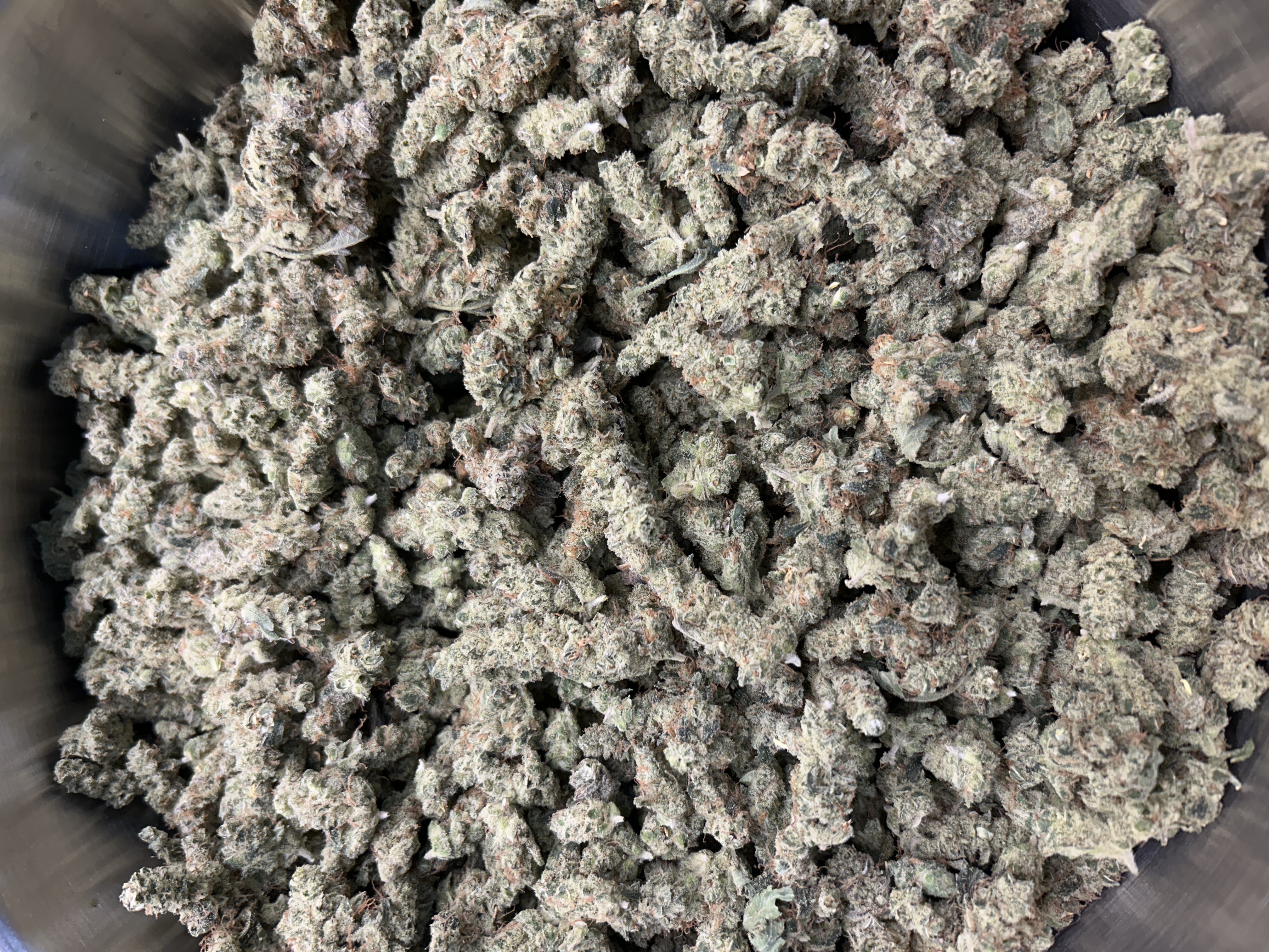 Nimbus | Grapefruit Chem | Buds | 1.9% Terps (2g) product photo