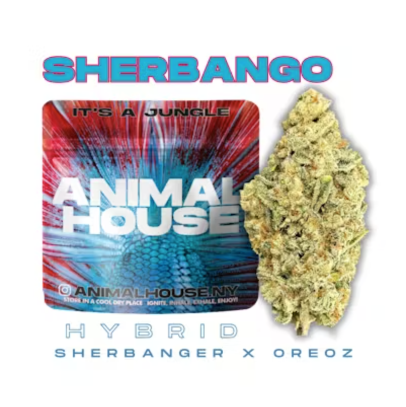 Animal House - Sherbango - 3.5g