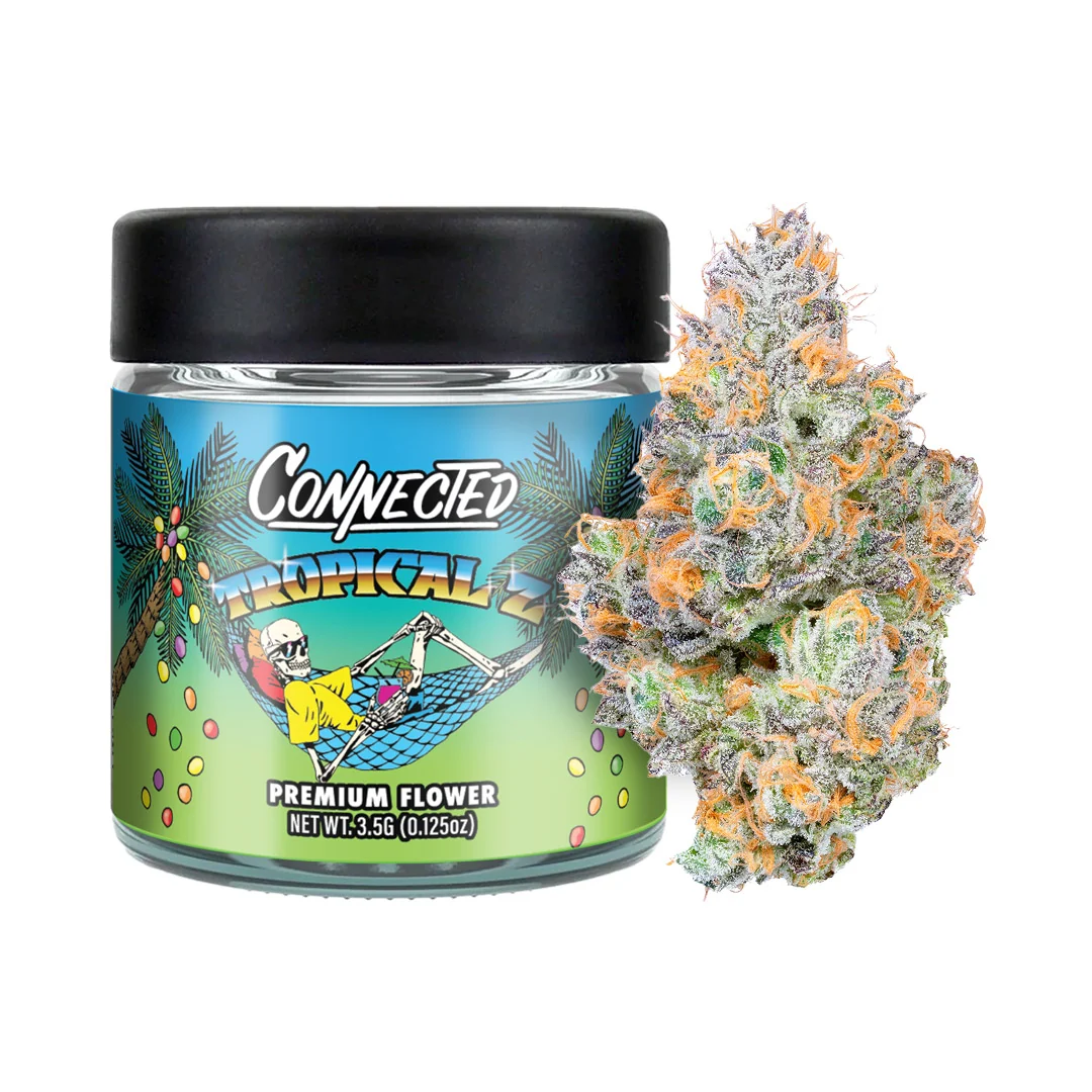 Connected Tropical Z Indoor Flower