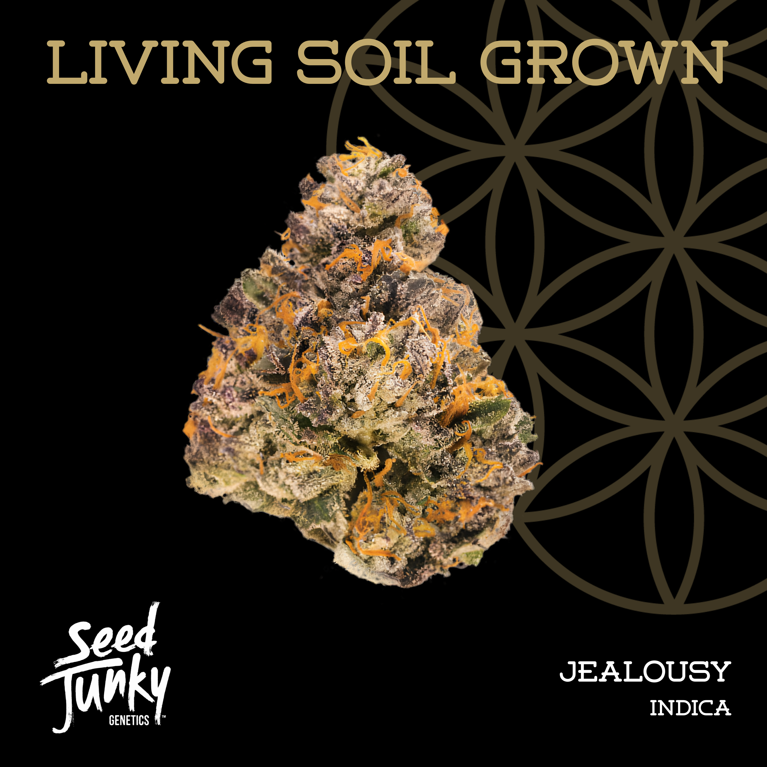 Flower of Life | Living Soil | Jealousy | Bulk Deli