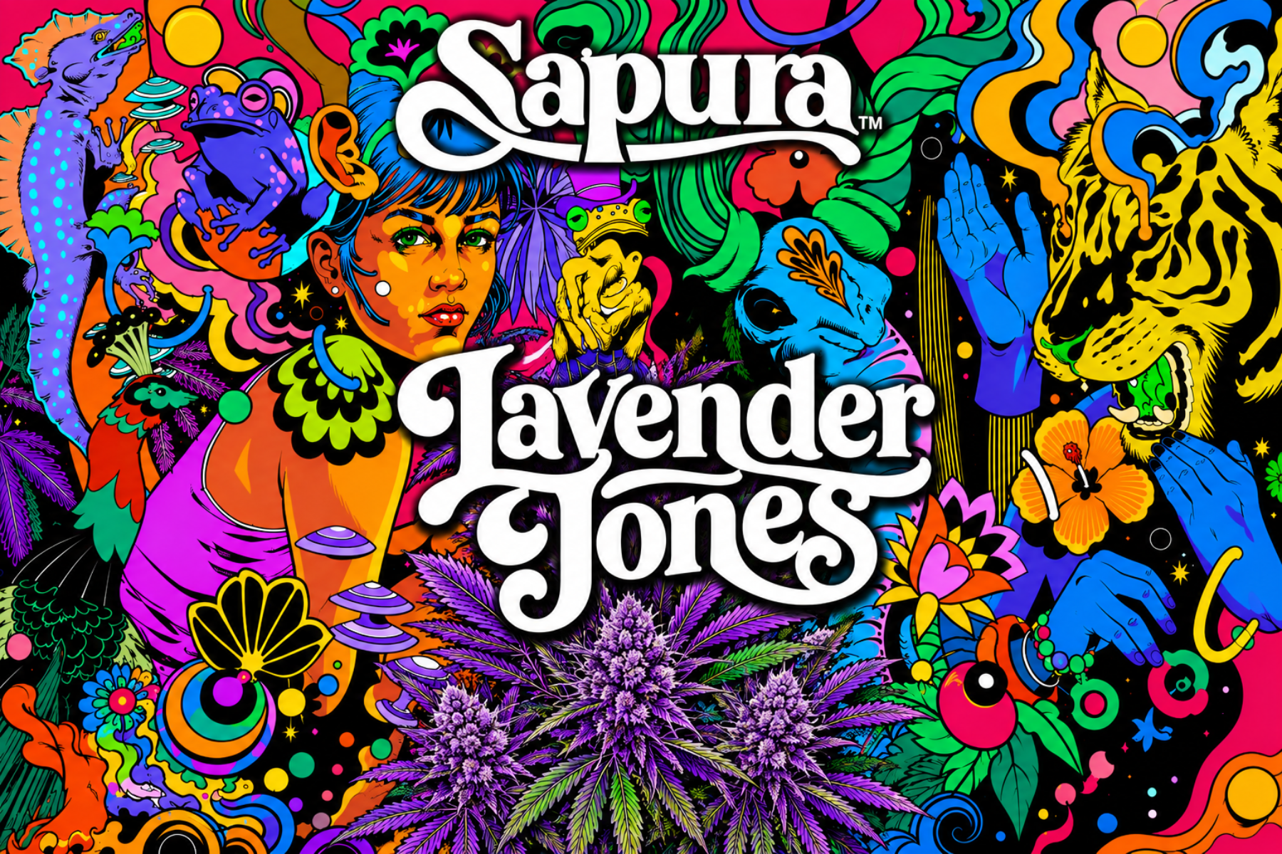 Sapura | Lavender Jones