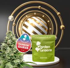 Flower | Rainbow Guava | Big Buds | Sativa - 3.5G