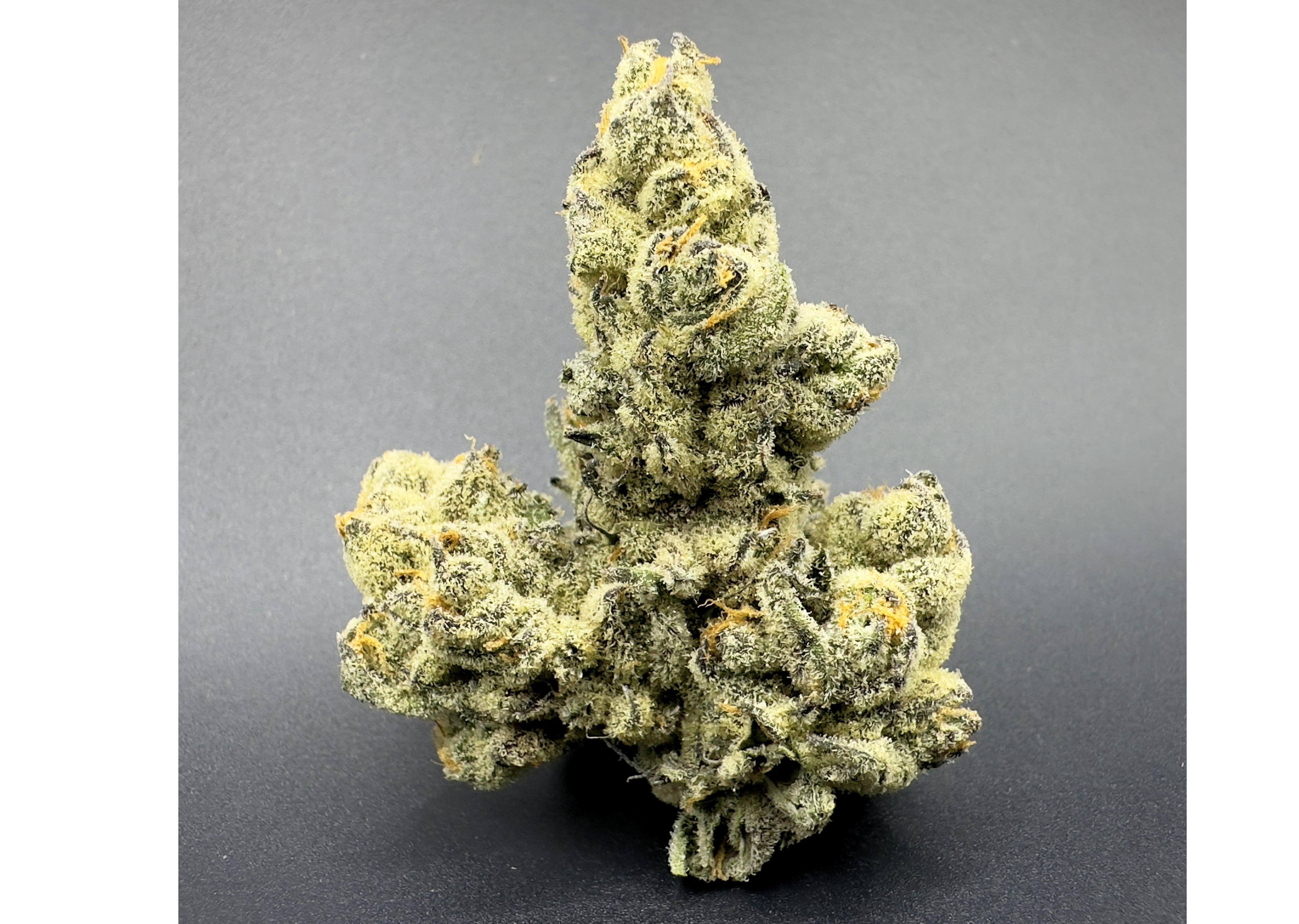 Frosted Fire | DJ Icey | Flower