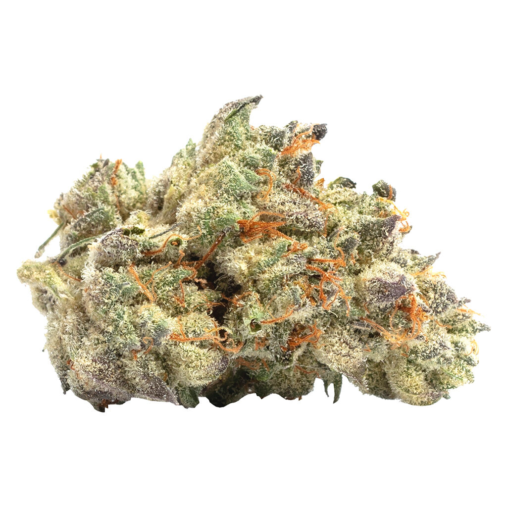 LaHoja - Purple Haze (Haze x Purple Thai) - Sativa