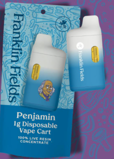 Blueberry Smash | Disposable | Live Resin | Franklin Fields