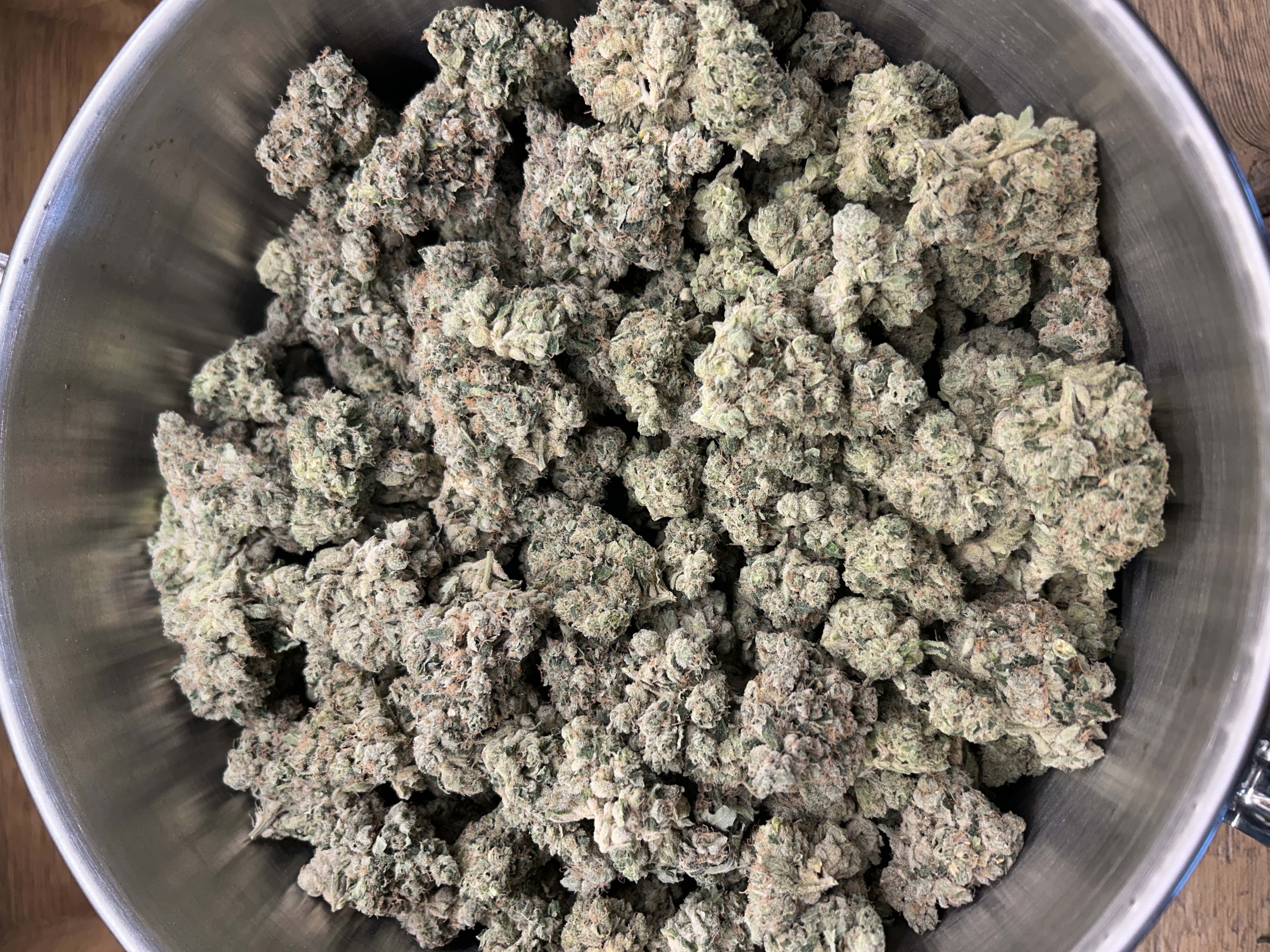 Harbor House | Aspen OG | Buds | 3%+ Terps (2g) product photo