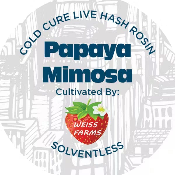NYCE | Papaya Mimosa - Rosin Jar