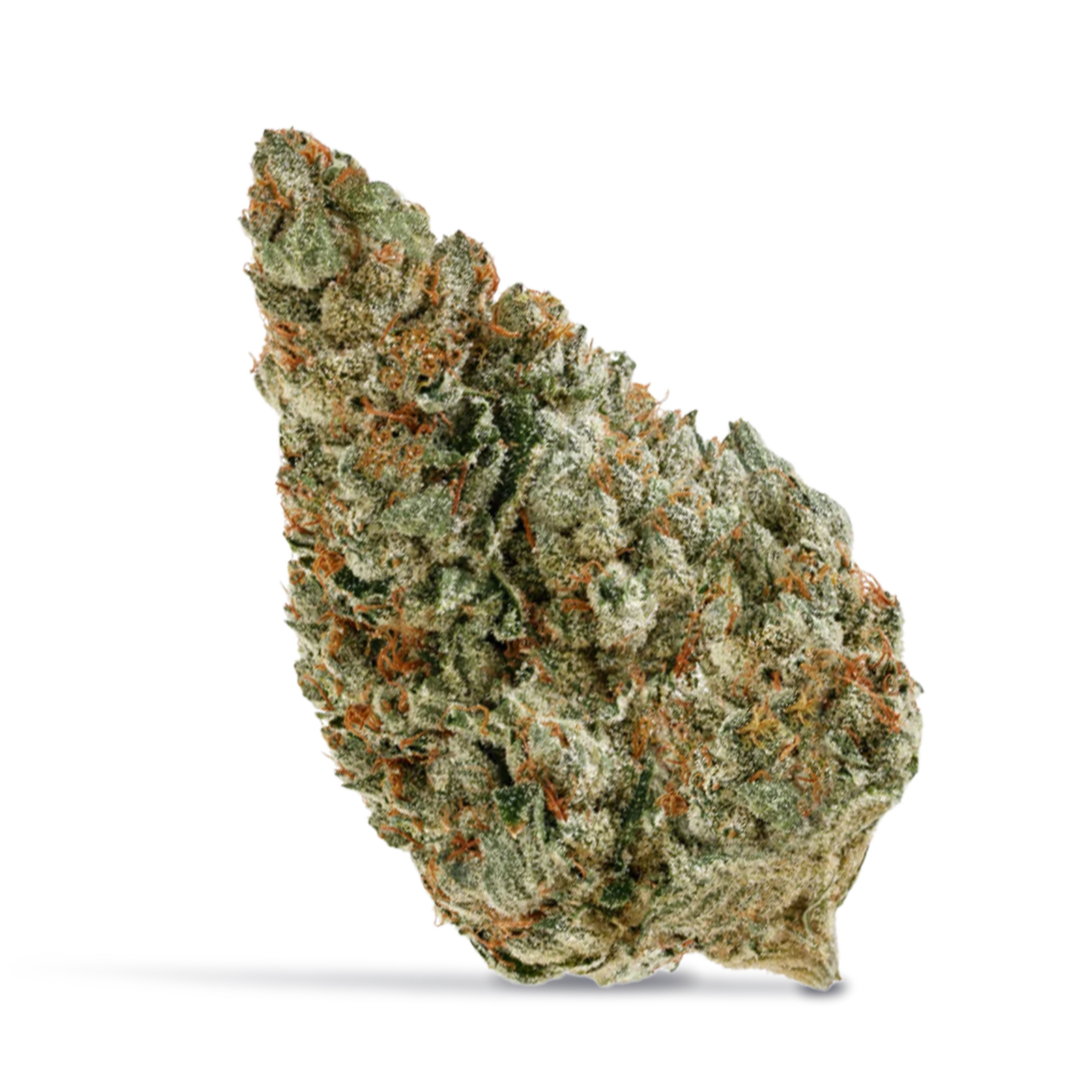 66a5504e99f4a7a033a89d27f0d9d03a