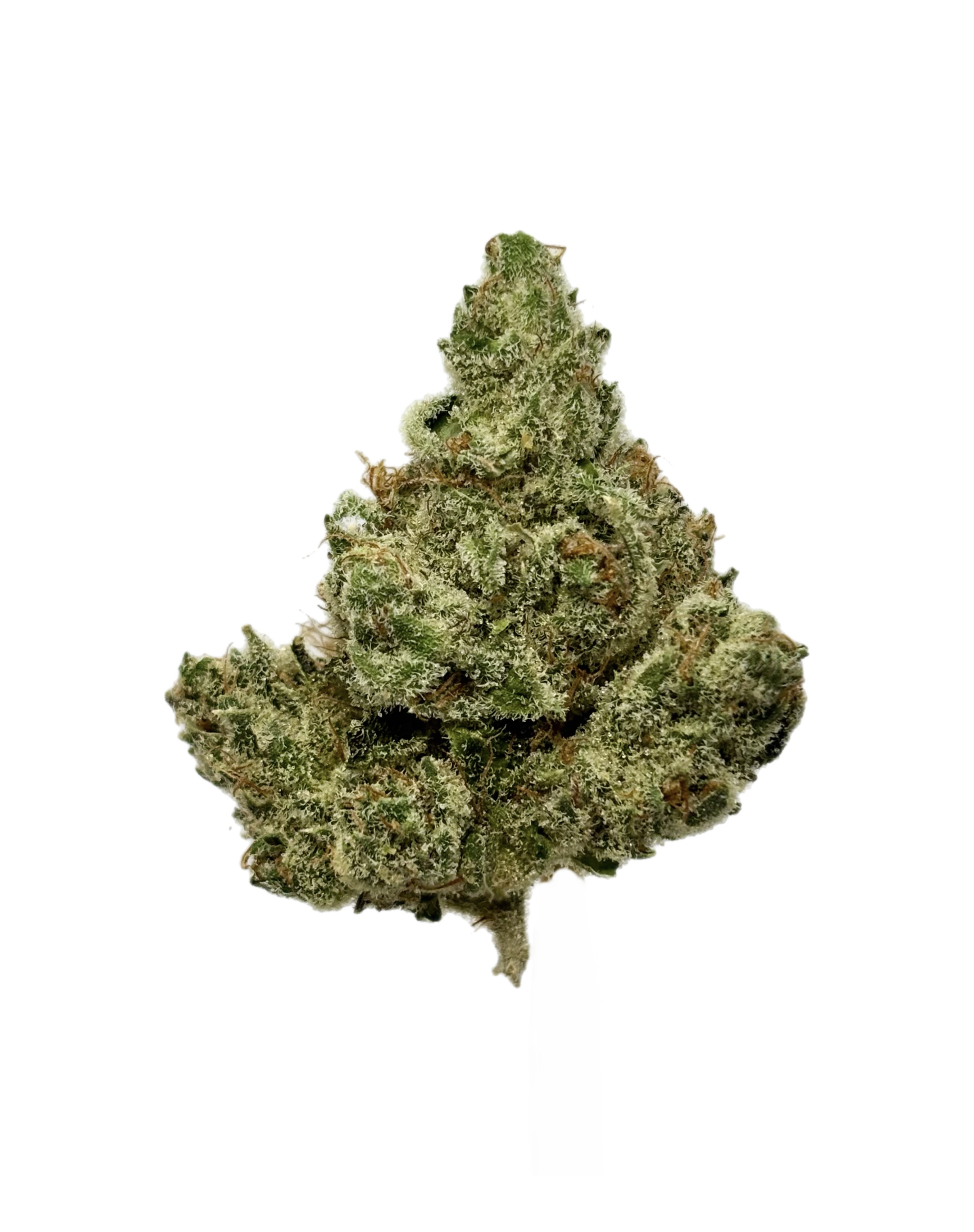 Classic Roots | Zmartiez | Bulk Flower | Platinum Tier