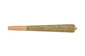 PRE-ROLL | CRASH GLOW x TALLYMON