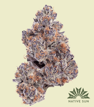 Ice Cream Cake | 3.5g