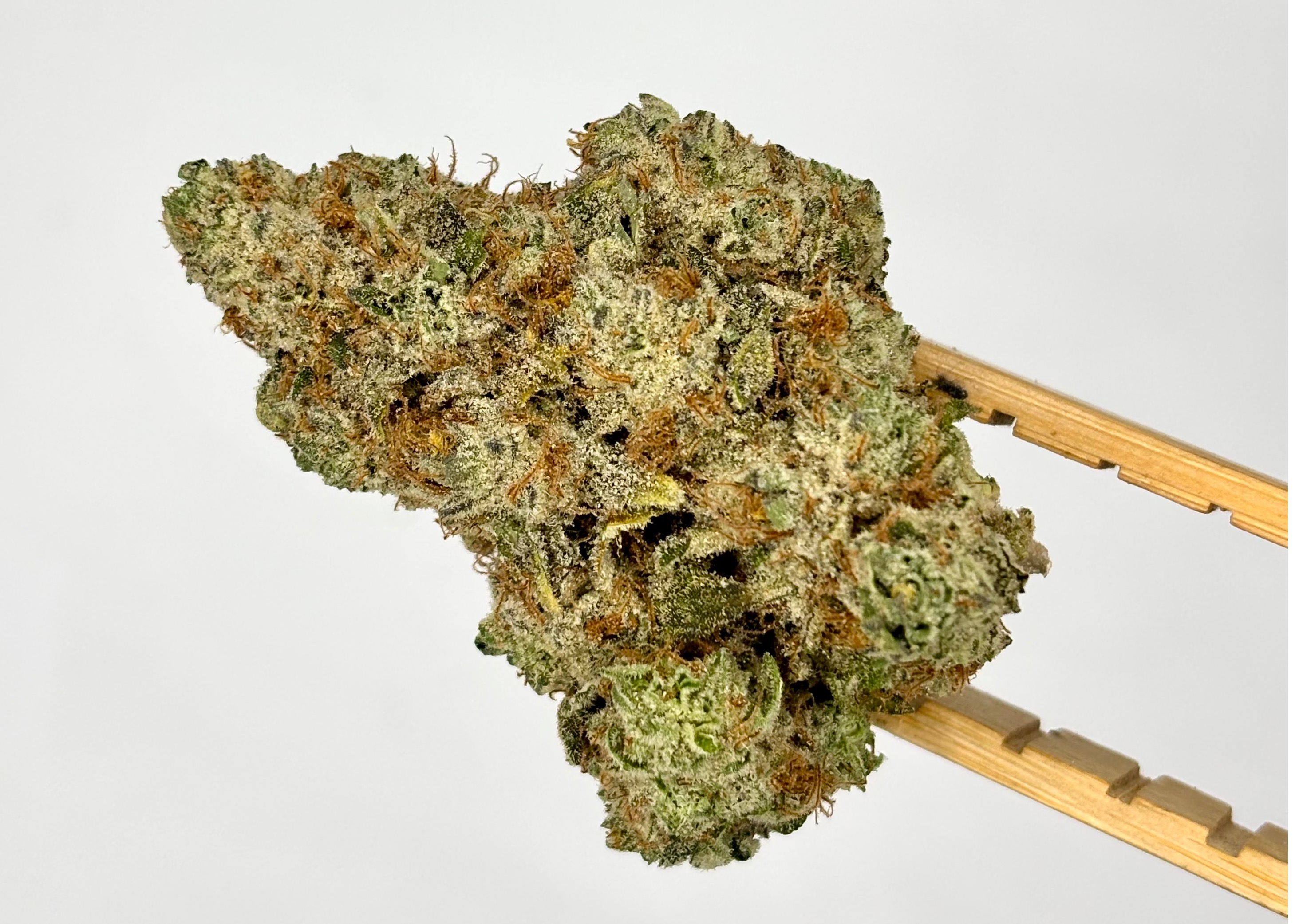 Papaya Burst | Bulk Flower | Yellow Tier