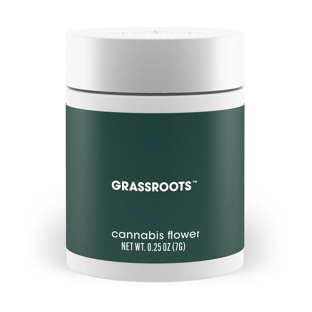 Floral Frost | Grassroots | Flower