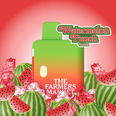 Farmers Market Disposable Watermelon Punch
