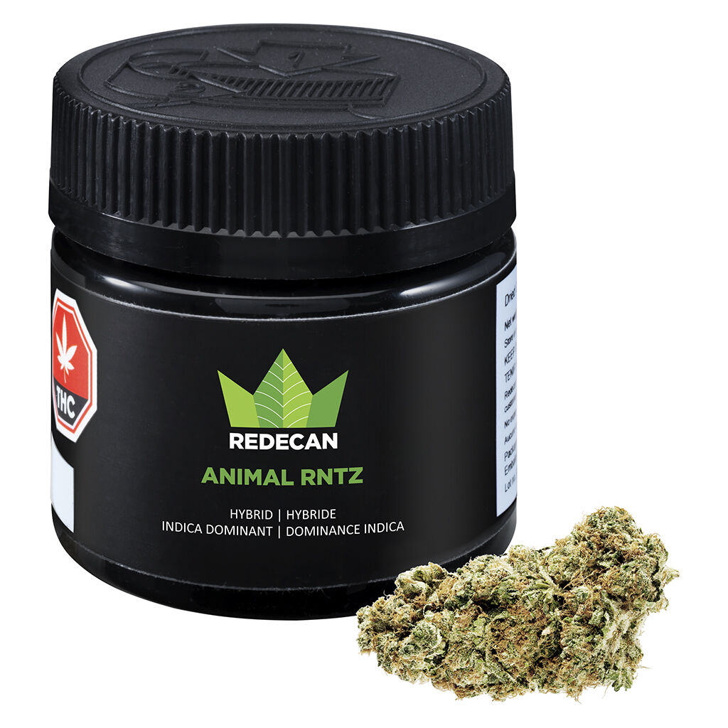 Animal RNTZ | 3.5G