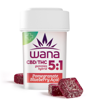 Blueberry Gummies | 100mg