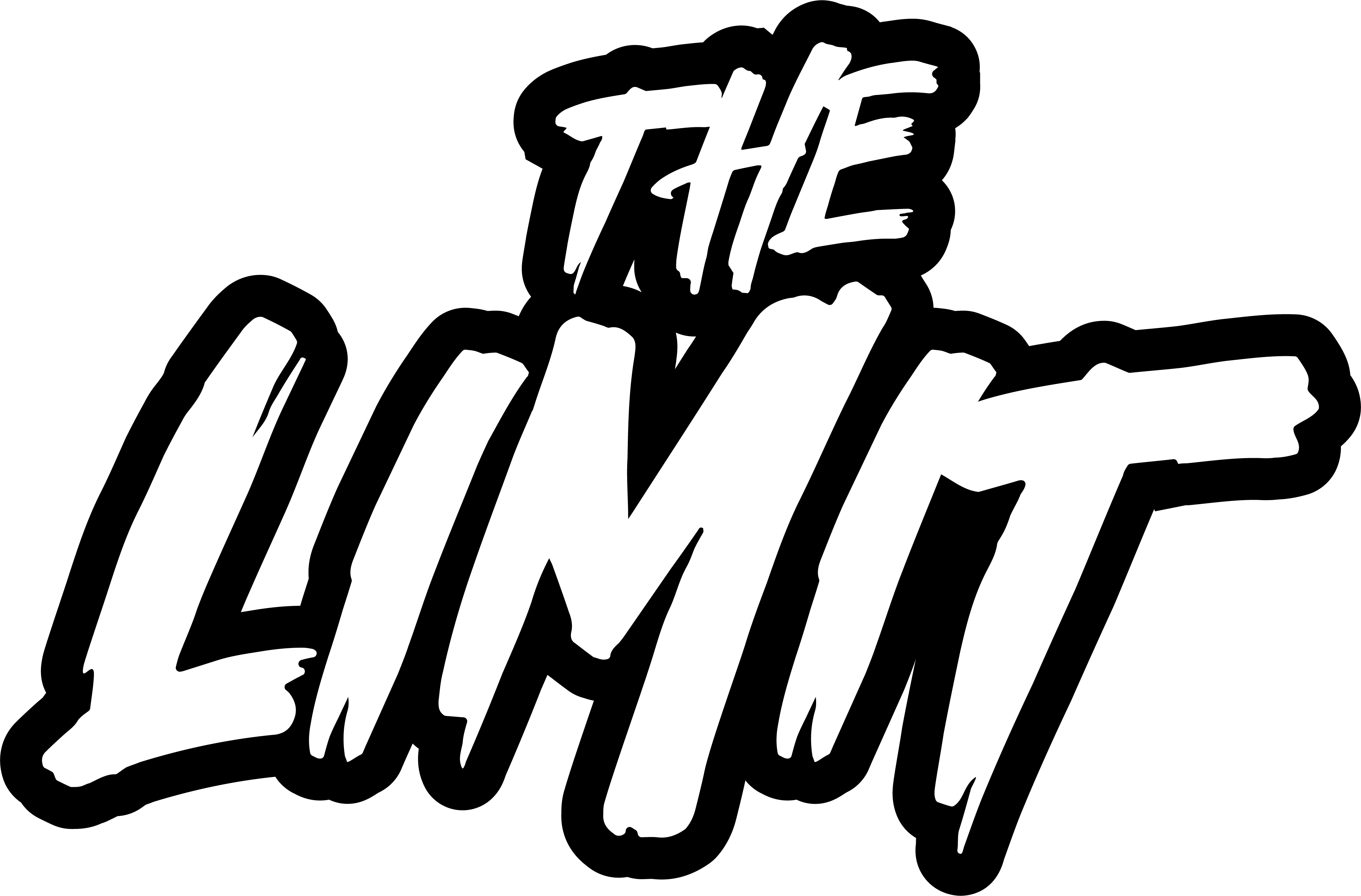 The Limit The Limit