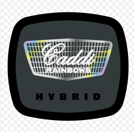 93 Boyz | Caddi Rainbows | 3.5g